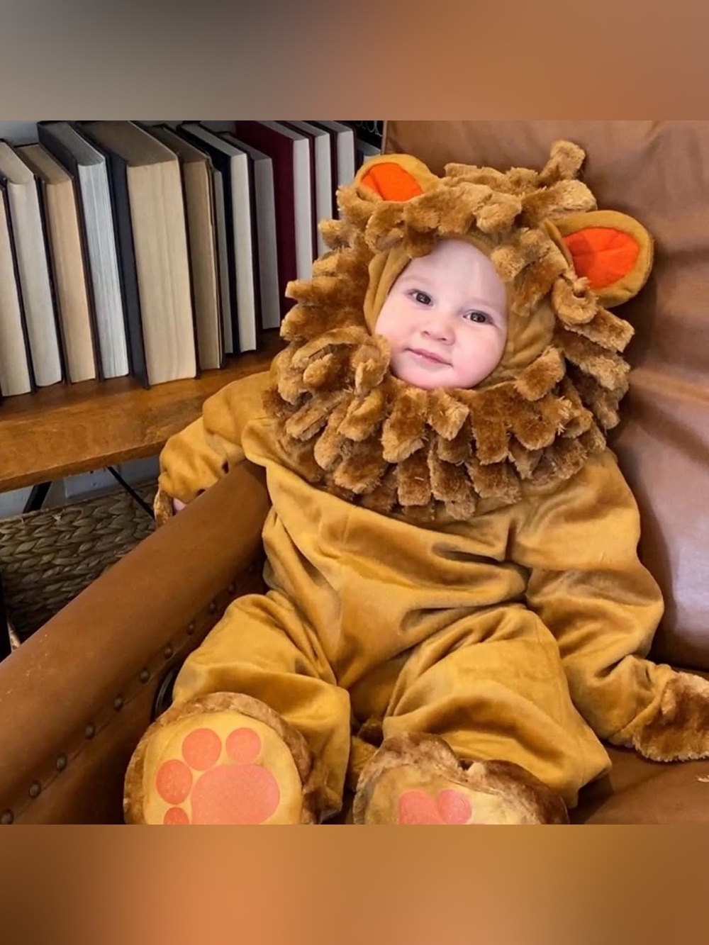 Little Lion Kids Halloween Costume - Brown Plush Lion Outfit